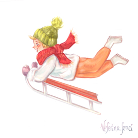 Полет на санках