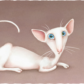 Кошка Долли