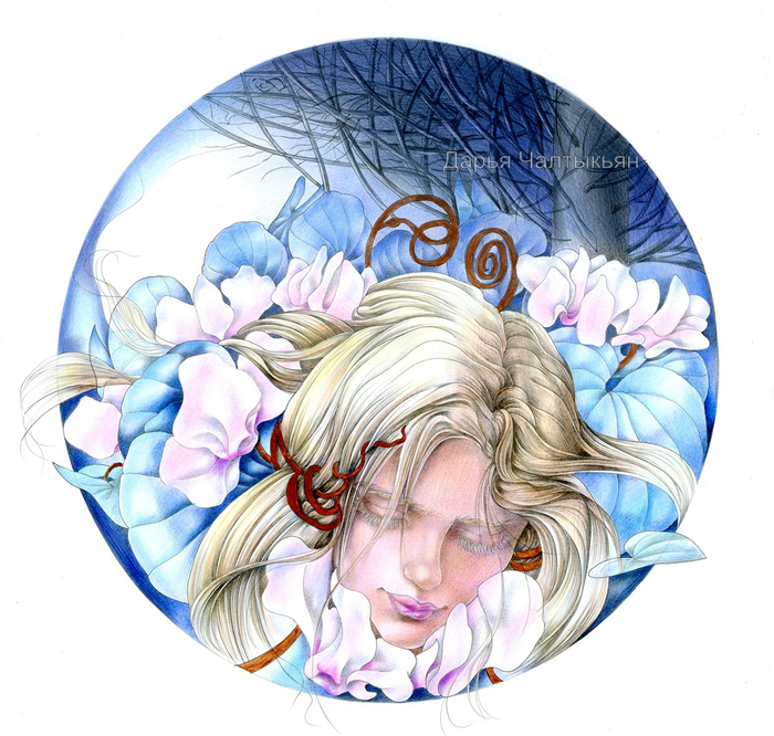 Альпийская фиалка (февраль месяц)