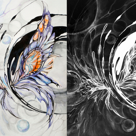 Бабочка и Бабочка