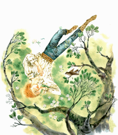 соловей и роза