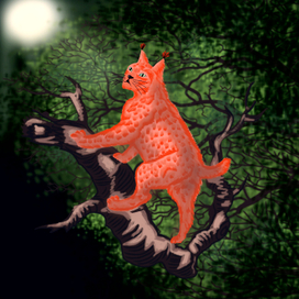 Дикая кошка 