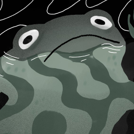 Who let the toads out?