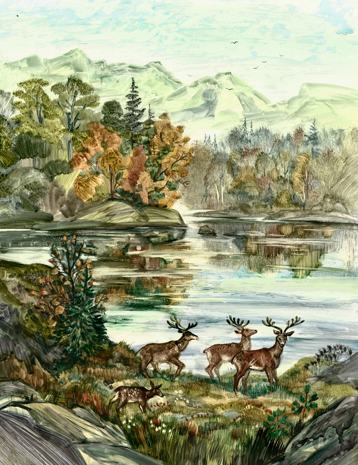 "Бродяги Севера"