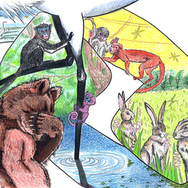 Телефон - Медведь (Чуковский)