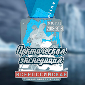 Арктическая экспедиция