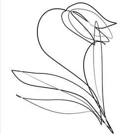 черно-белое