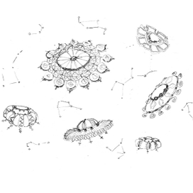 Елизаветинский космический флот