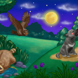 Кто в лесу живет