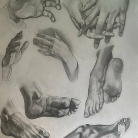 академический рисунок кисти рук и стопы