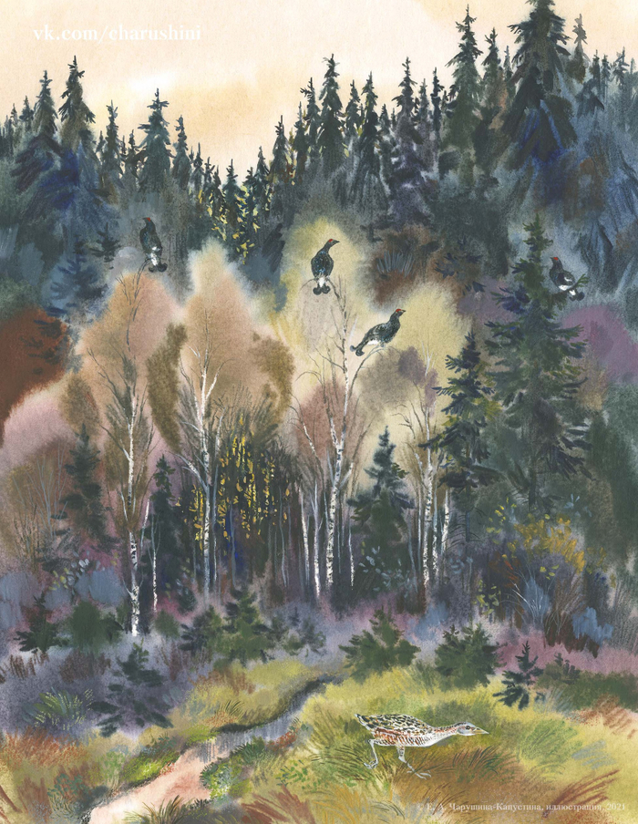 Илл. к книге Е. И. Чарушина "Удивительные приключения маленького охотника"