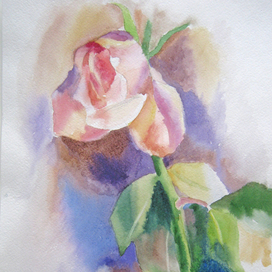 Последняя роза в саду