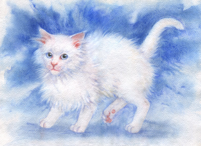 Белый котишко