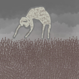 Без названия