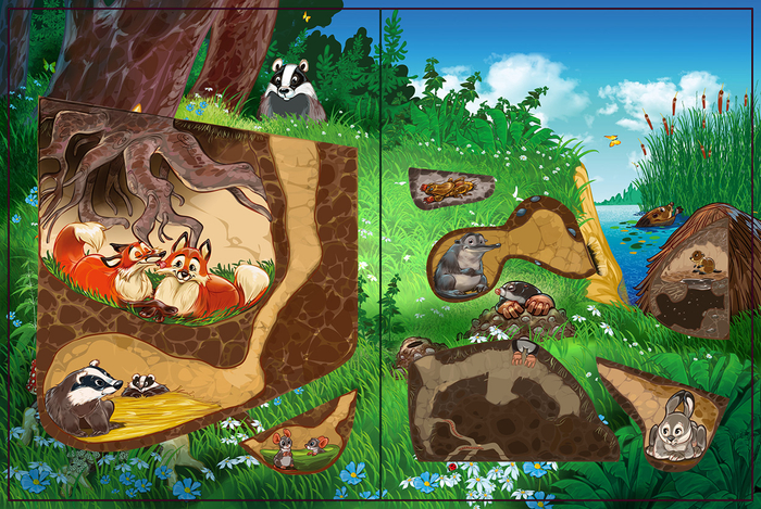 книжка с окошками