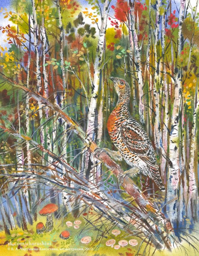 Иллюстрация к авторской книге "Зеркальный дом озёрной чайки"