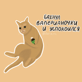 Стикер "Бахнул валерианочки и успокоился"