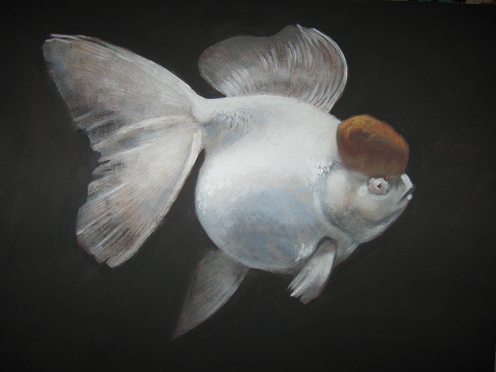 золотая рыбка