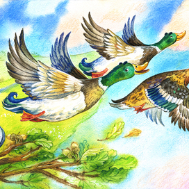 Разворот для книжки-картонки