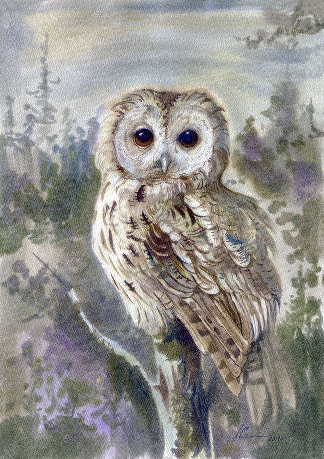 Обыкновенная неясыть