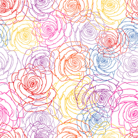 Разноцветные розы