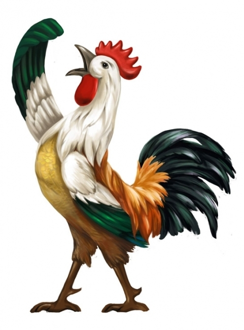 rooster