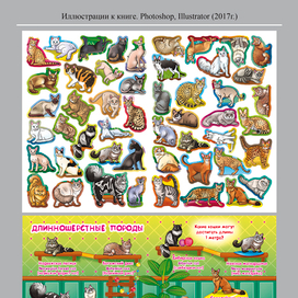 Наклейки и разворот к книге о кошках