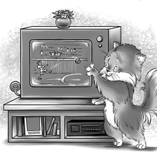 Котя и Мотя 1