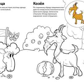 козлик и овечка