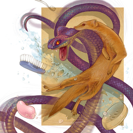 Рикки - Тикки - Тави