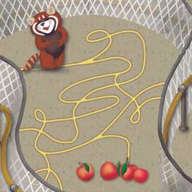 Веселые лабиринты - стр.14