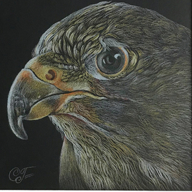 Графика на чёрном, цветные карандаши