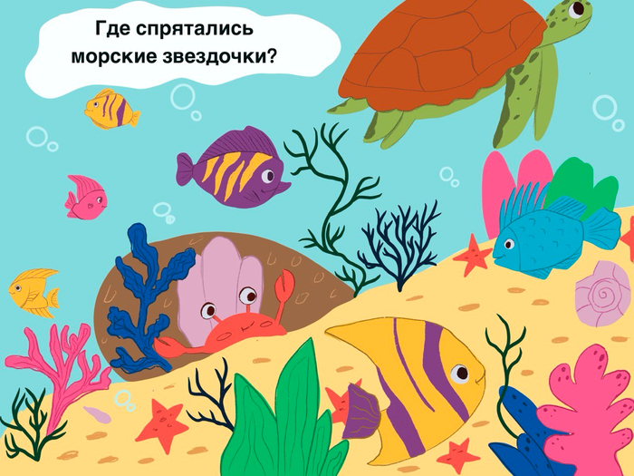 Где спрятались морские звезды?
