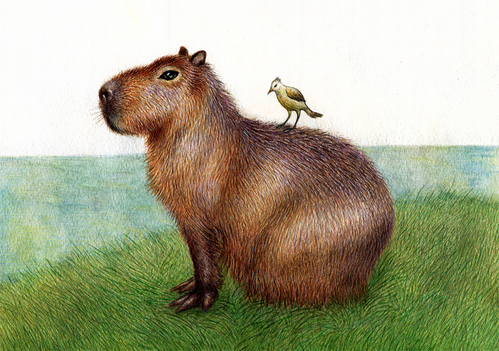 Капитолина.