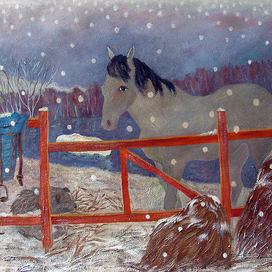 Жизнь в приюте