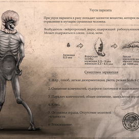 секретные документы 