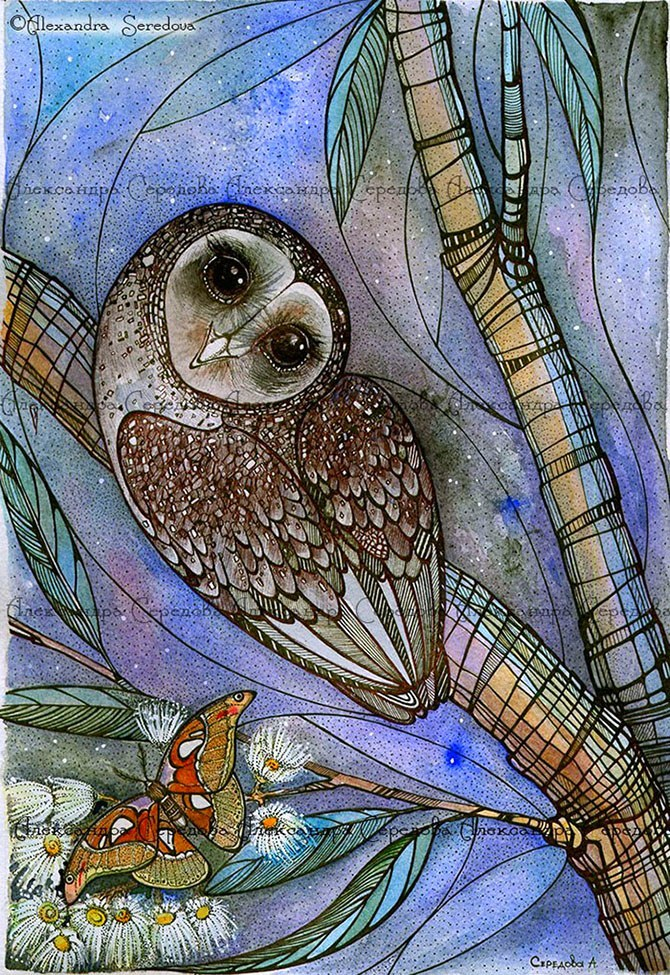 Совушки. Пепельная сипуха.