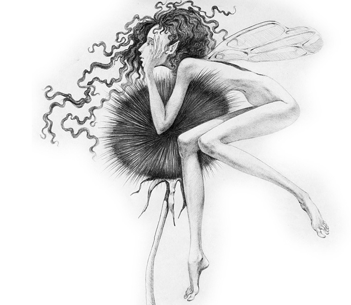 (без названия)