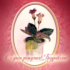 Открытка с фиалками