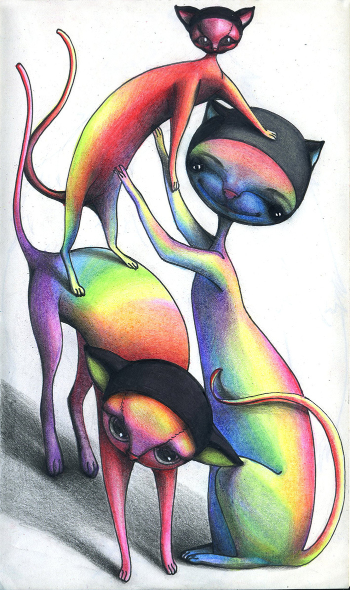 Радужные коты