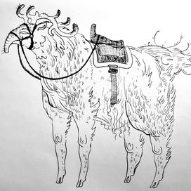 Горный скок