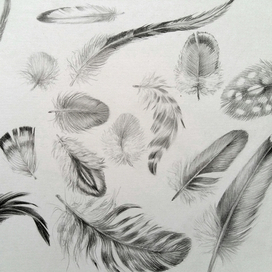 Часть форзаца.