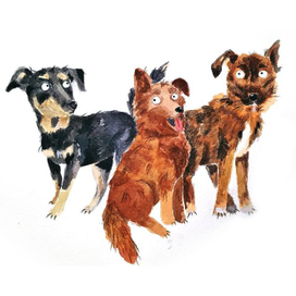 Собаки которые любят