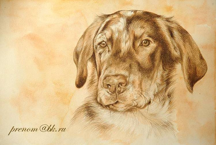 Месье Лазар