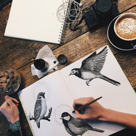 Birds&coffee