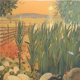 Майн Рид. "В дебрях Южной Африки" 2