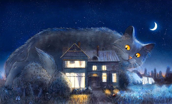 Кот пришёл к нам