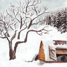 Зимние окна