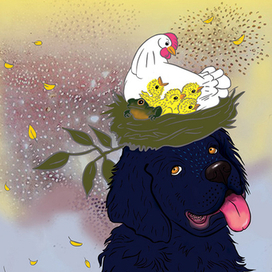 Осень. Ньюфаундленд.