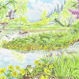 Весна-красна